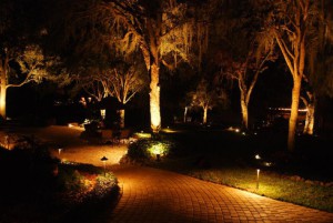 We can design your landscaping lighting system to meet your needs.